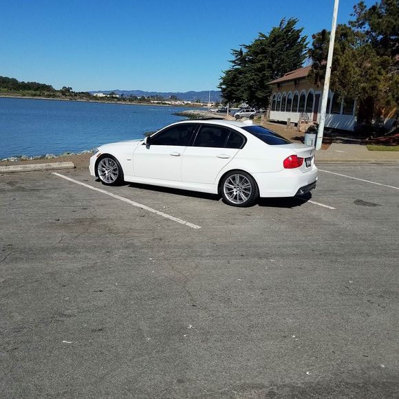 Meet your Posher, Randa - Picture 1 of 1